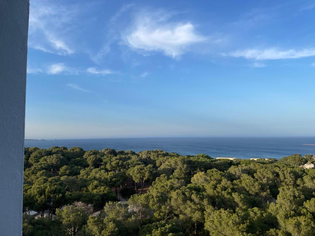 帕尔斯Apartamento en Playa de Pals con encanto y vistas的海洋和树木的空中景致