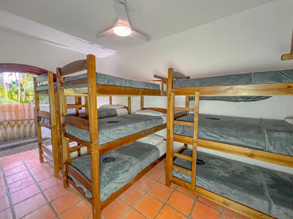 伊利亚贝拉Beer Hostel Suites Privativas e Compartilhadas的一间卧室配有两张双层床。