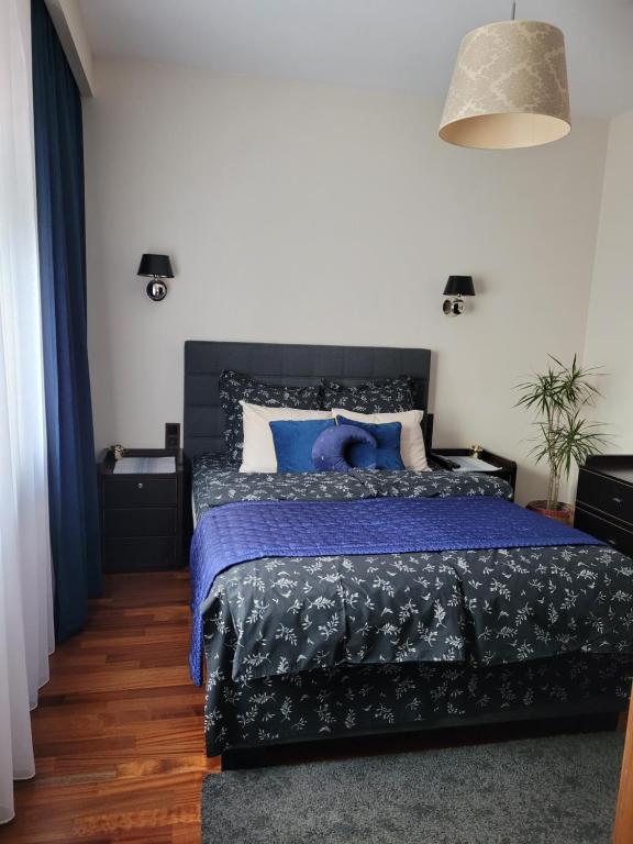 卡托维兹Apartament LUNA Francuska Park的一间卧室配有一张带蓝色棉被的床