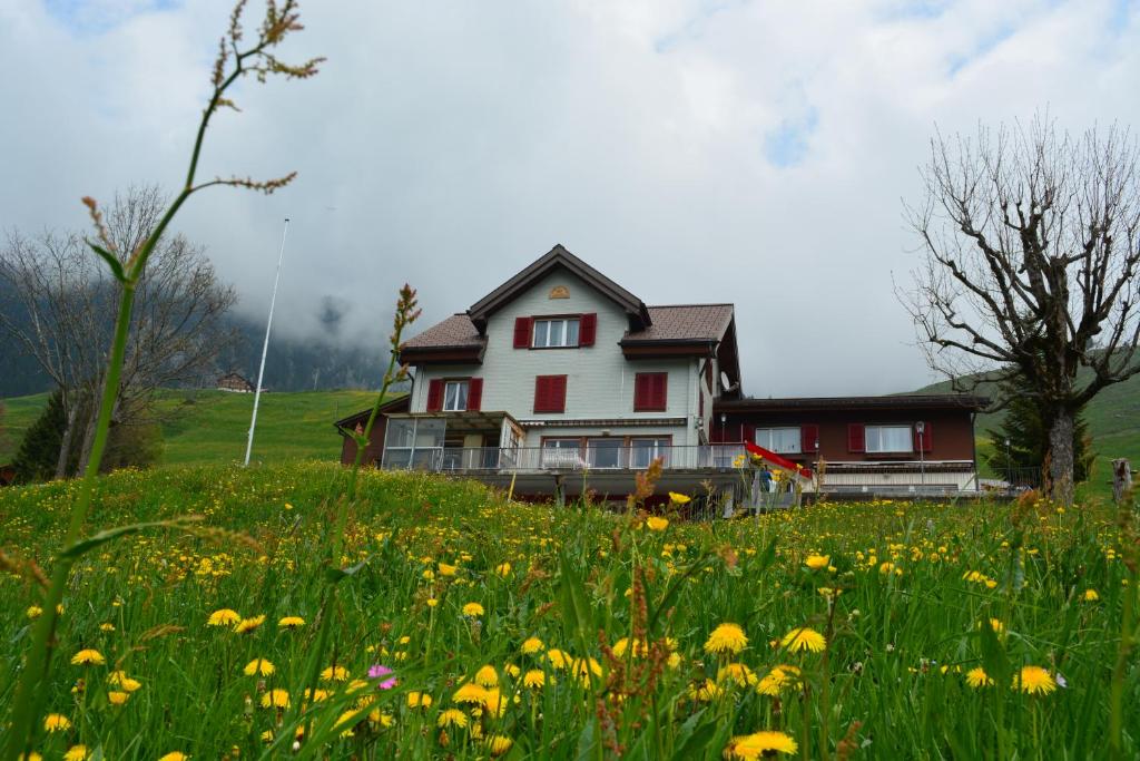 英格堡Gasthaus Schwand的一座花田小山上的房子