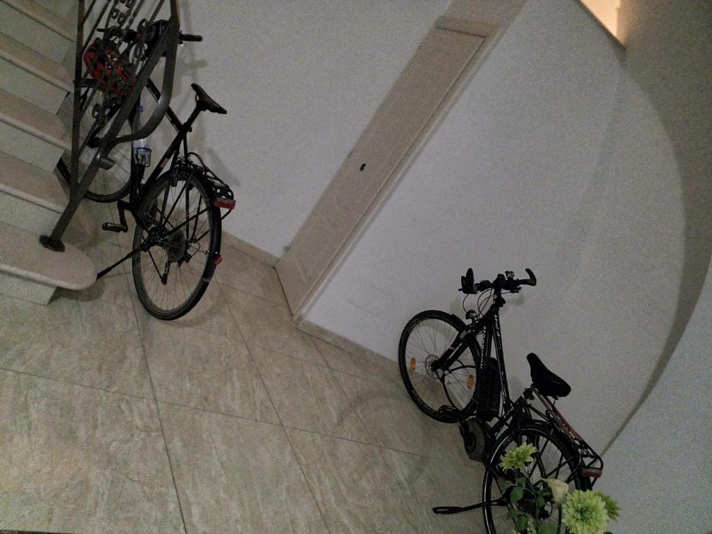 圣塞韦罗Il Nuovo的两辆自行车停放在一间房间里