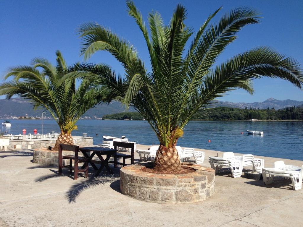 拉多维奇Monténégro, villa dans la baie de Kotor, avec plusieurs appartements tout confort en front de mer!的海滩上两棵棕榈树和桌椅