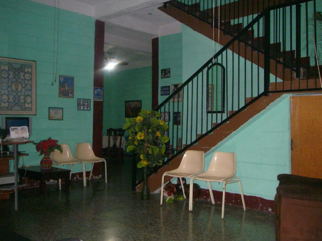 圣佩德罗苏拉朵思莫丽诺斯住宿加早餐酒店的一间设有椅子的房间和种植了植物的楼梯