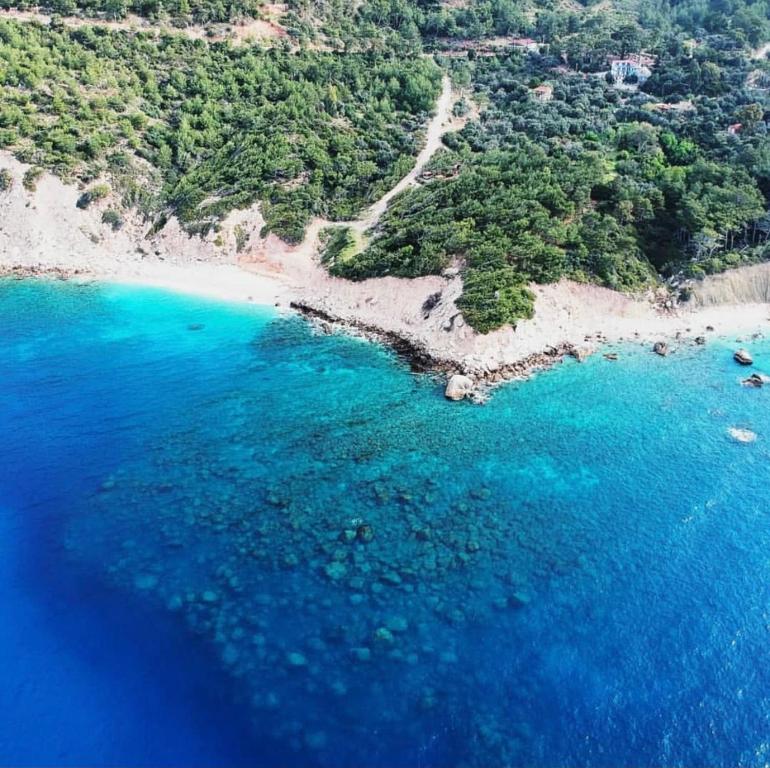 KaradereLikya Inn的享有蓝色海水海滩的空中景致