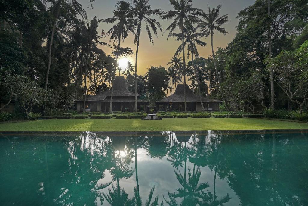 乌布Villa Puri Tupai的棕榈树别墅和游泳池
