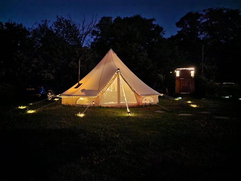 伯青顿Quex Livery Glamping的夜晚在田野里带灯的白色帐篷