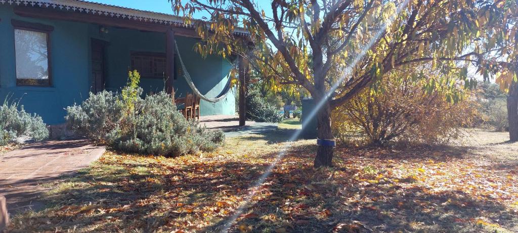 卡皮亚德尔德尔蒙特misky wayra的院子里有树的蓝色房子