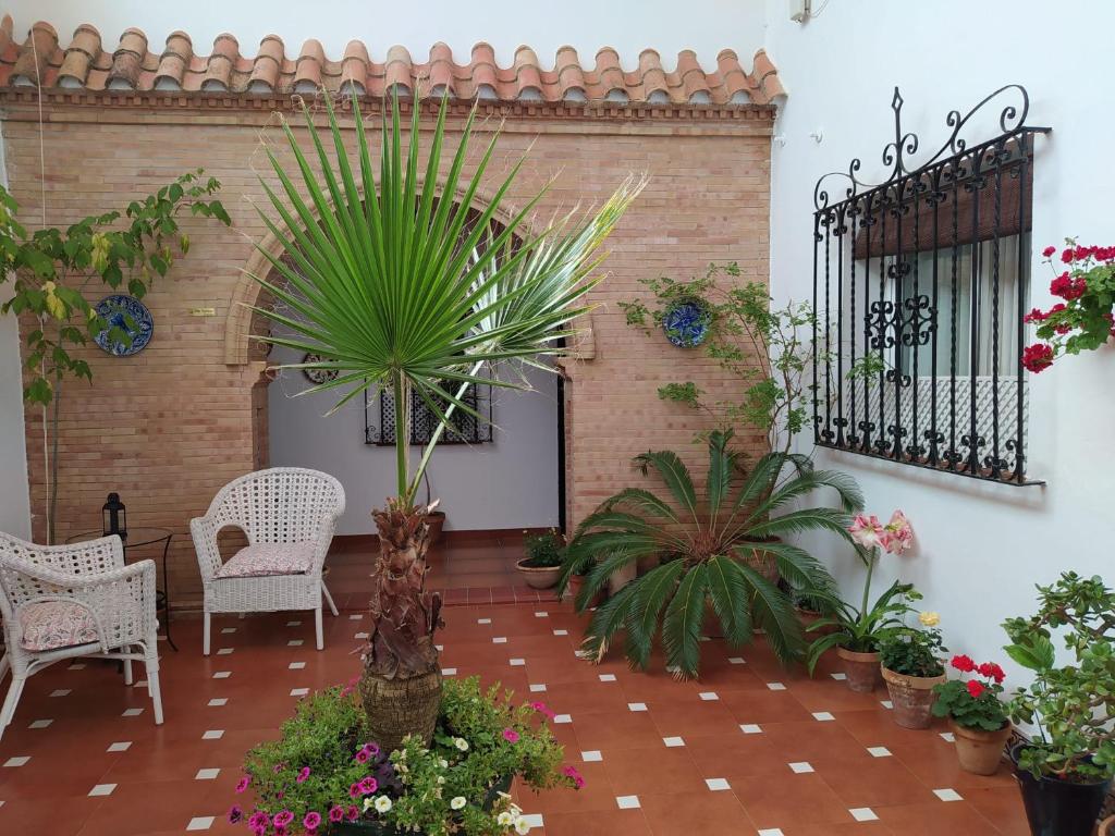 奇皮奥纳安达卢西亚旅馆的庭院里种有椅子和棕榈树,种有植物