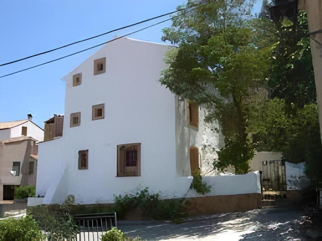 赫里卡Casa rural Teresa la Cuca的前面有棵树的白色建筑