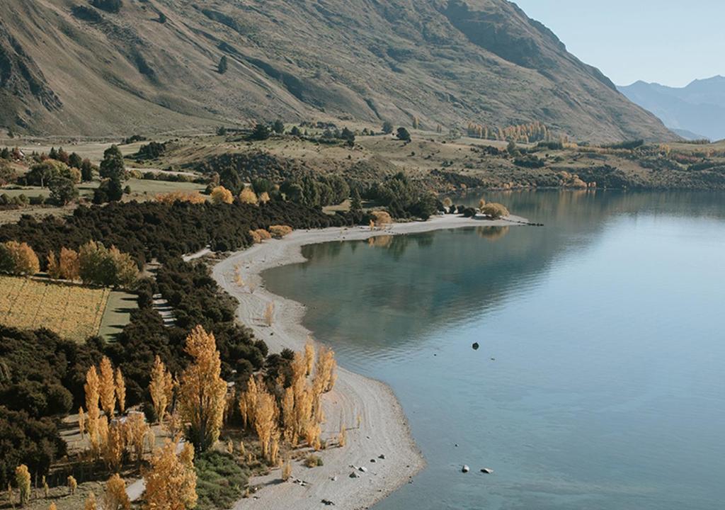 瓦纳卡Edgewater Hotel的享有树木和山脉的湖泊美景