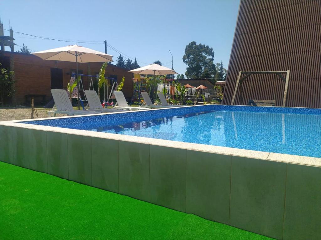皮聪达Дом Шале Оазис的一个带绿色草地和遮阳伞的游泳池
