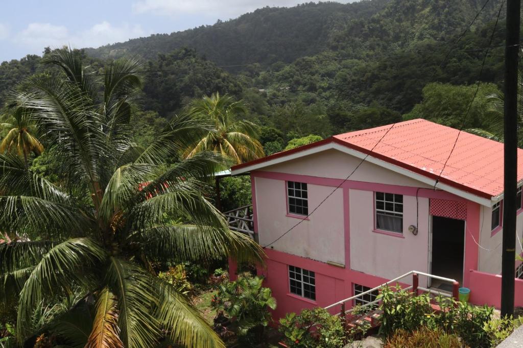 罗索Anthurium Apartment的山前有棕榈树的粉红色房子