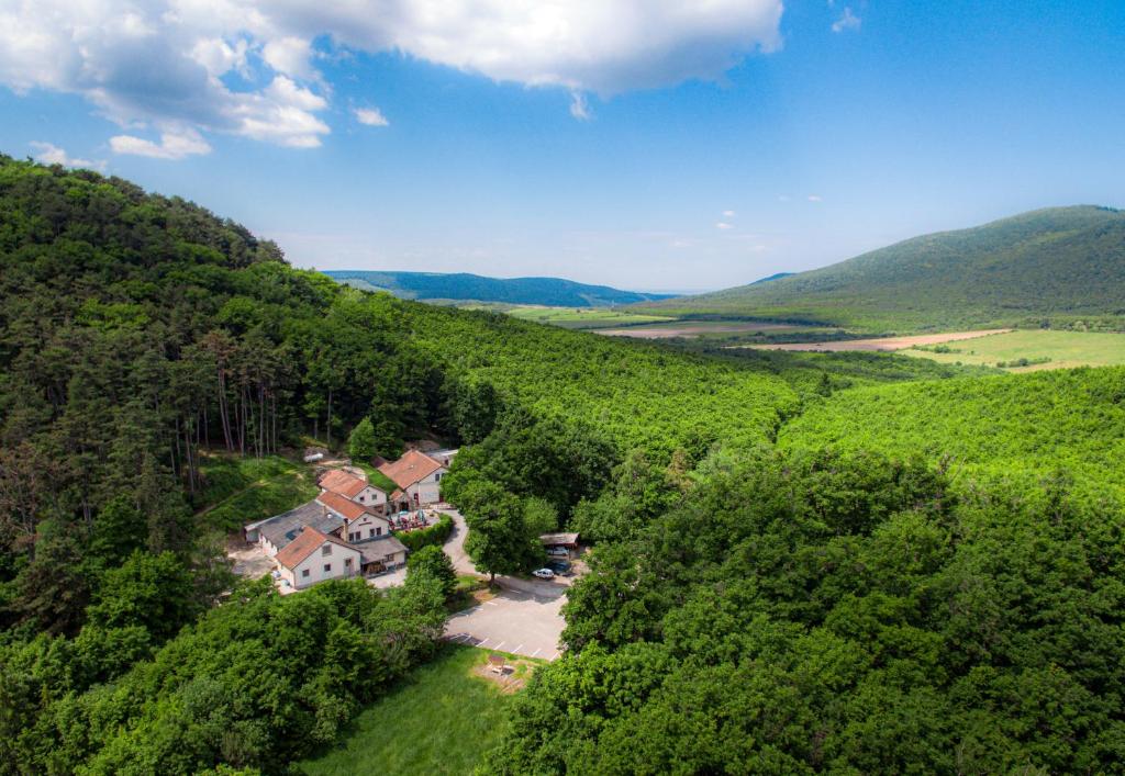 艾尔德贝涅Rókabérc Vadászház Hotel的森林中间房屋的空中景观