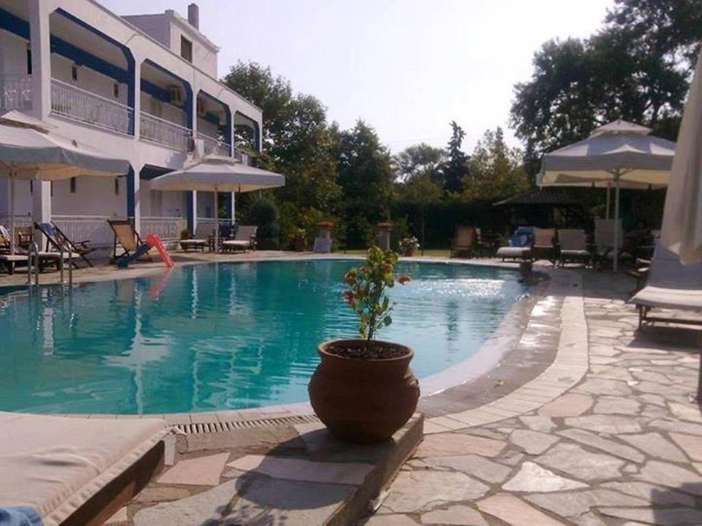 斯塔夫罗斯Villa Riviera的游泳池旁的盆栽植物