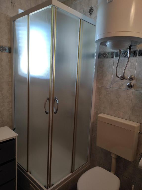 克勒克Apartments Markotic的设有带卫生间的浴室内的淋浴间