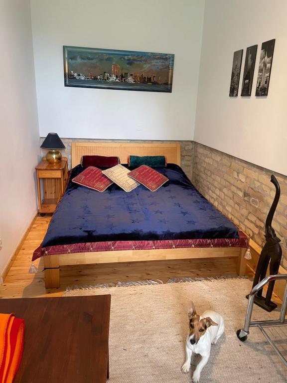 大恩策斯多夫Nationalpark Lobau Wohnung的卧室里的一张床位,地板上放着一只狗