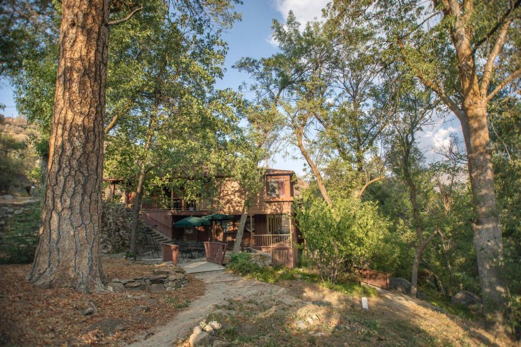 克恩维尔Quiet Mind Lodge, Spa & Retreat Sequoias的树林中的一座房子