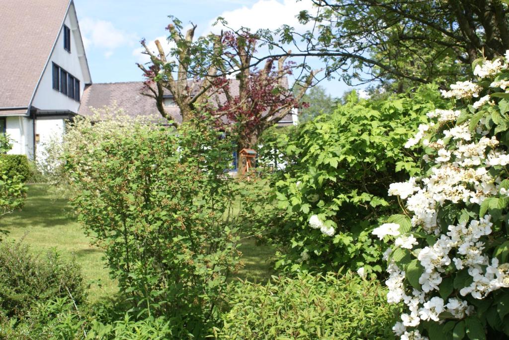 纳德仁Chambre single的一座花园,在房子前有白色的花朵
