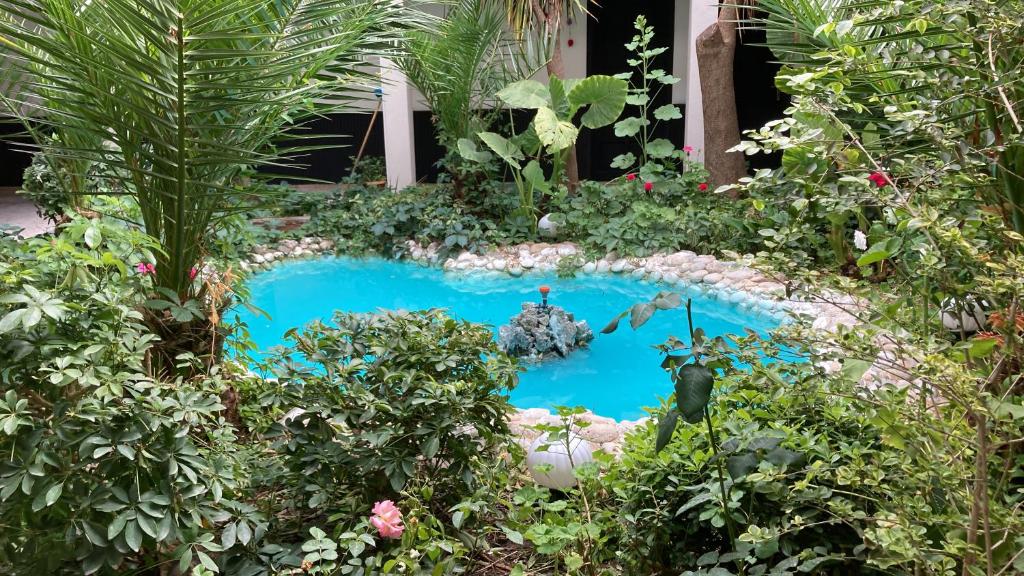 达利安Hotel Dönmez的花园里的蓝色小池塘,种有植物