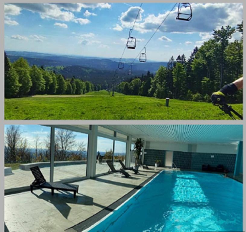 弗赖翁Traumblick Bayerischer Wald, Pool & Sauna, Getränke, Klimaanlage的游泳池两张照片的拼合