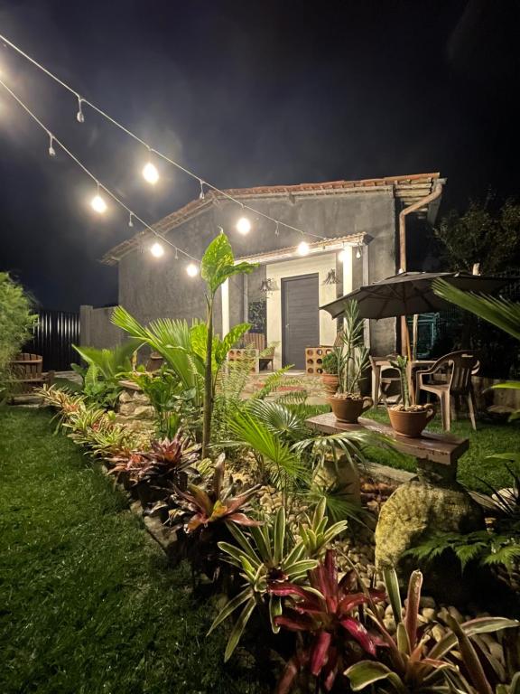 巴纳内拉斯Tiny Home Garden Bananeiras的夜晚带花园的房屋