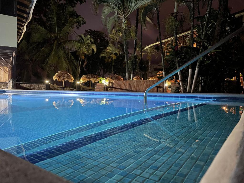 别霍港Perla Negra Beachfront的棕榈树的夜间游泳池