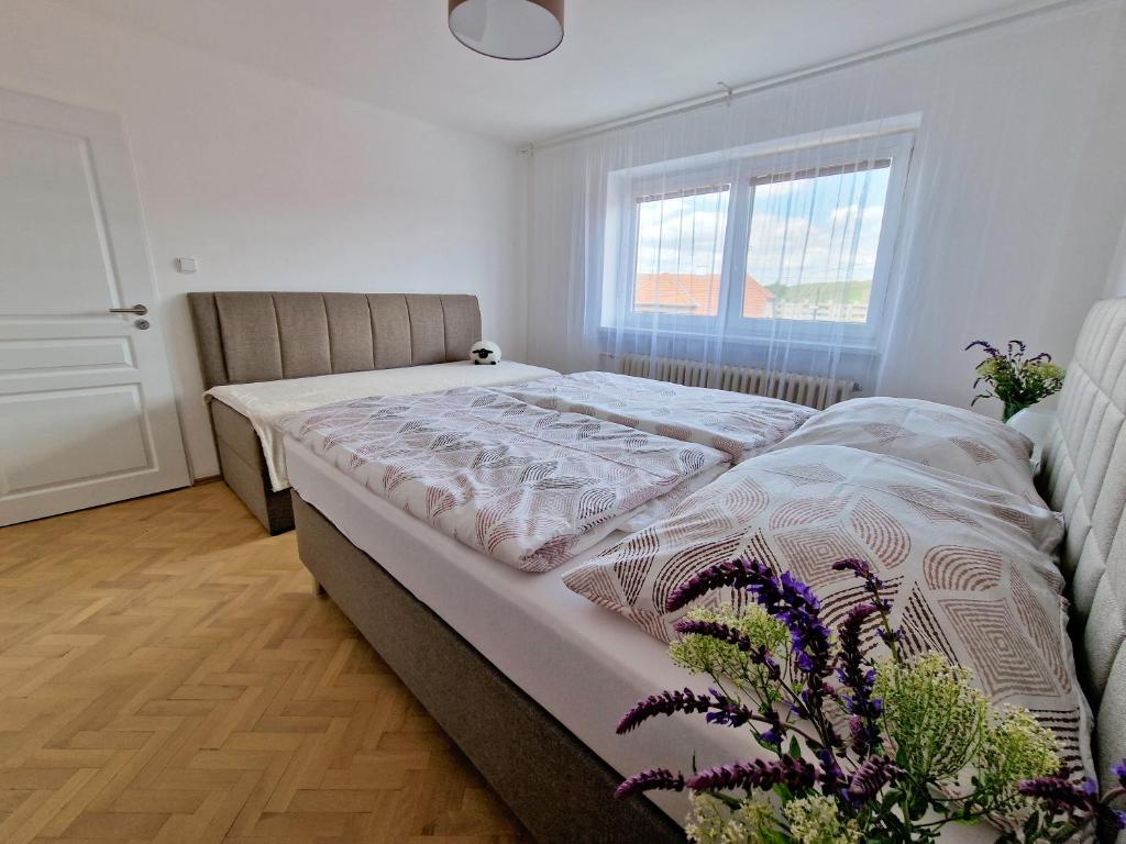 捷伊科维采Čejkovský dvorek的一间卧室设有一张大床和窗户