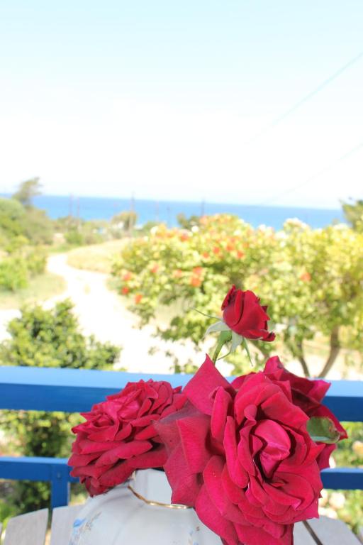 KalavárdaK Farm House的长凳上满是红玫瑰的花瓶