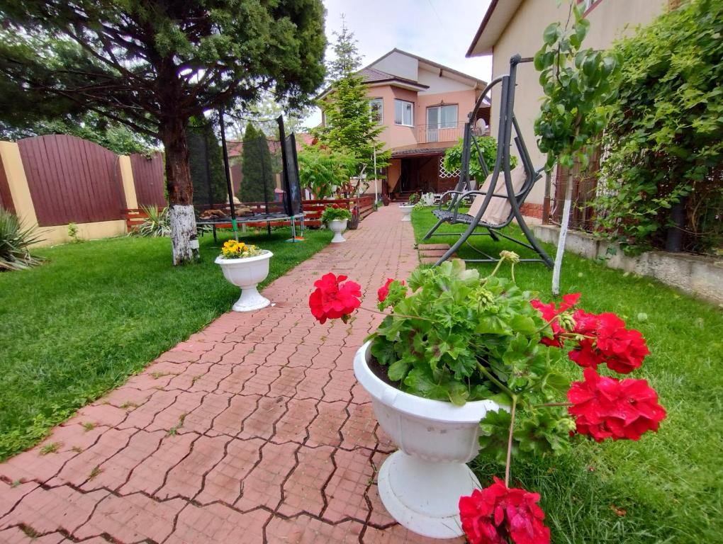 科斯蒂内什蒂Casa Aura 1的砖路上白色厕所里红色花的花园