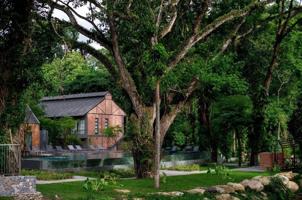 杭东清迈弗洛拉小溪度假村的房子前面的一棵大树