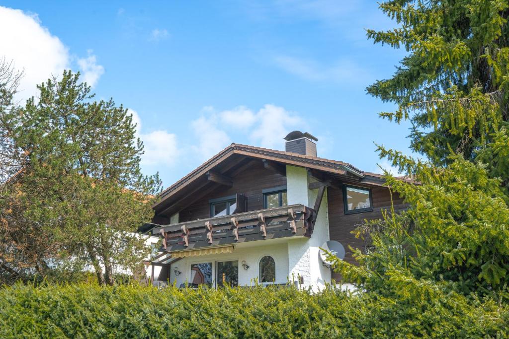 费斯恩Schöne Aussicht的山丘上树木的房子
