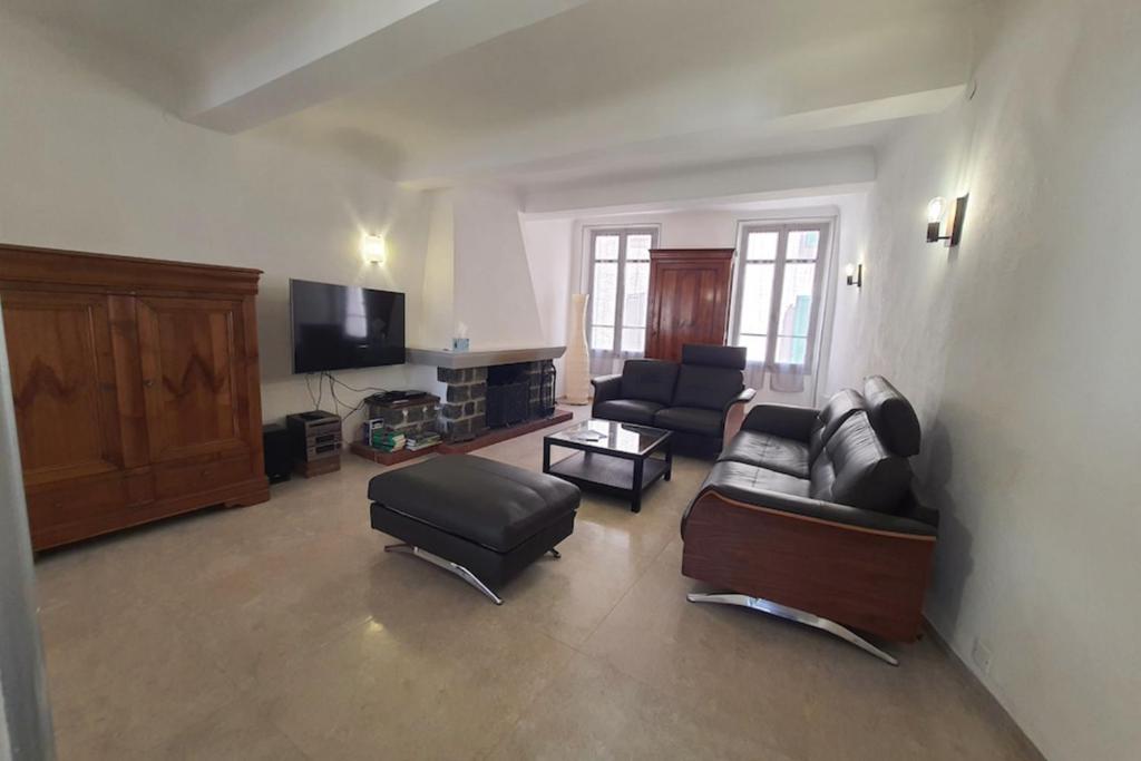 罗克布伦河畔阿尔让Beautiful Village House In Roquebrune Sur Argens的客厅配有两张沙发和一台电视机