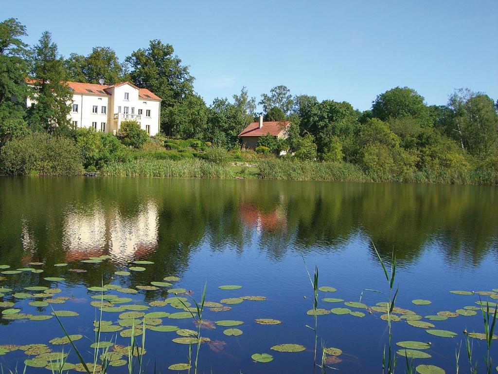 MelzowVilla am Trumpf - Design-Appartements im Naturgarten am See的湖里有百合垫子,后面有房子