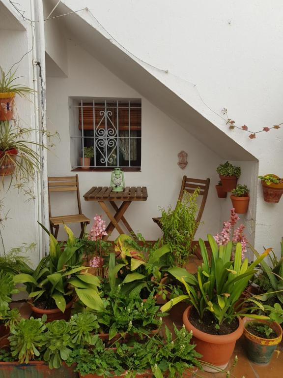 贝赫尔-德拉弗龙特拉CASA ABRIL的一个带植物和桌子的庭院和一个窗口