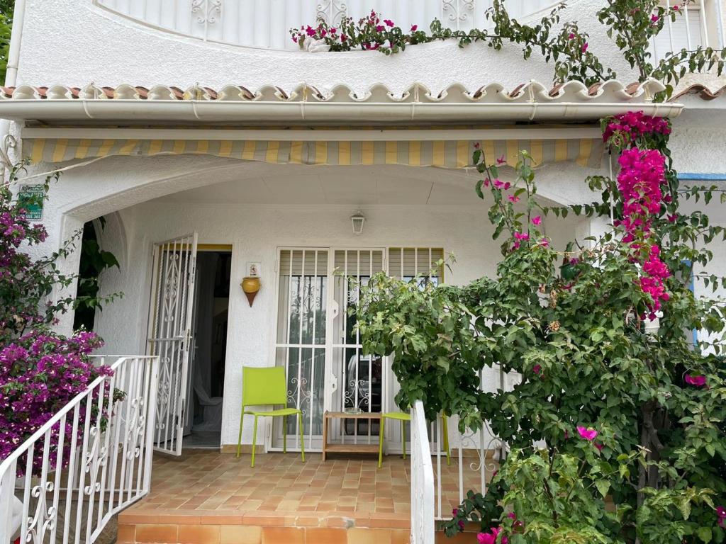 艾姆布里亚布拉瓦Leones的白色的房子,花粉色,绿椅