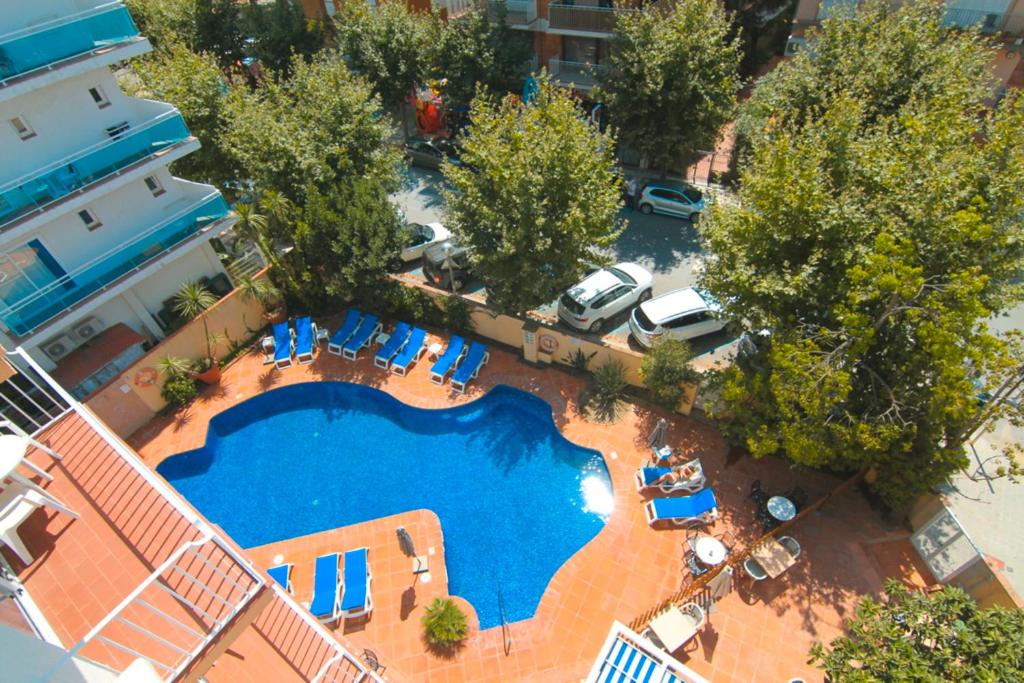卡里拉Hotel Dwo Les Palmeres的享有带椅子和树木的游泳池的顶部景致
