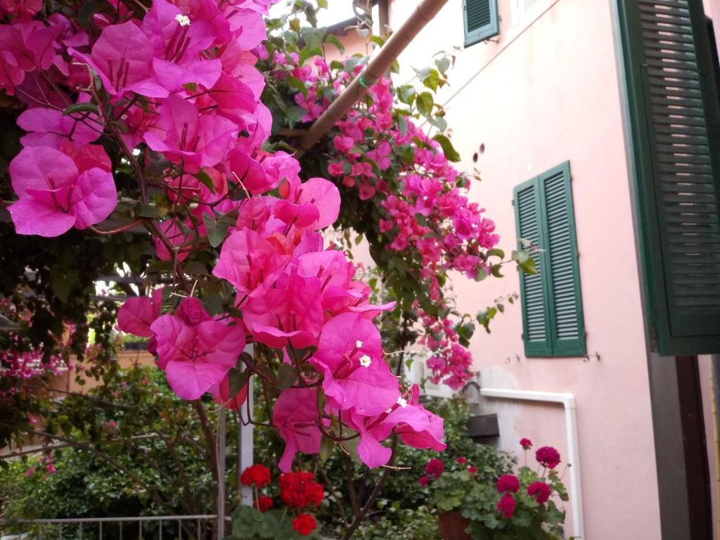 皮昂比诺Albergo Italia的挂在建筑物上的一束粉红色花