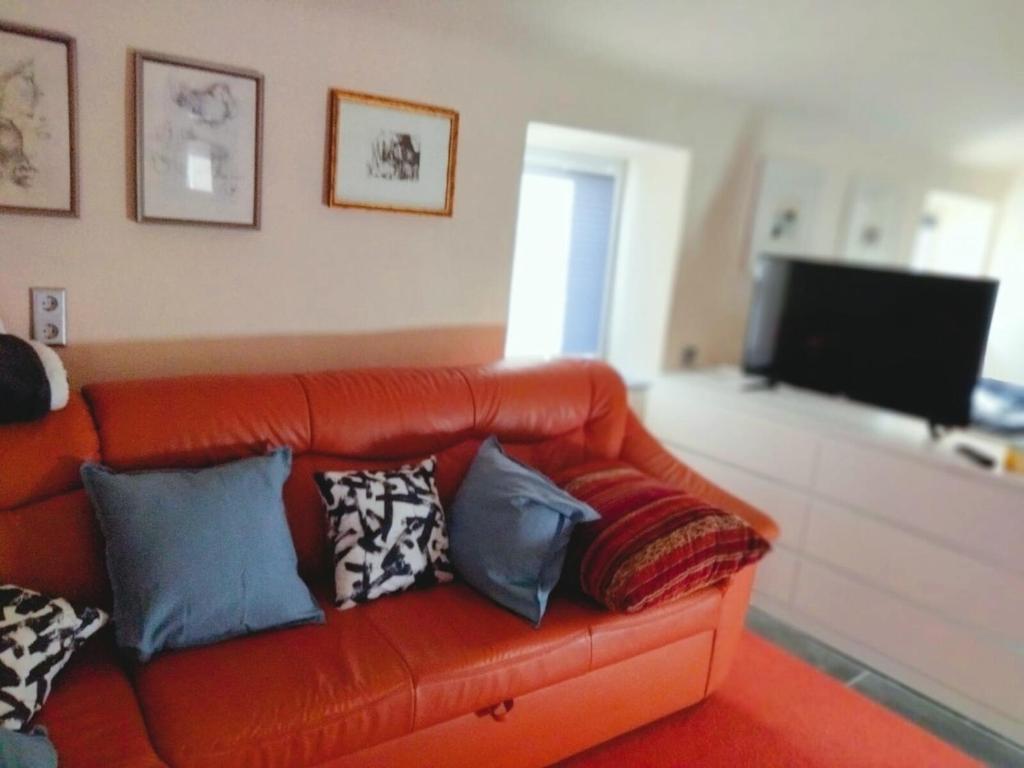 NonnweilerZelfies Kunstapartment.的客厅里配有带枕头的橙色沙发