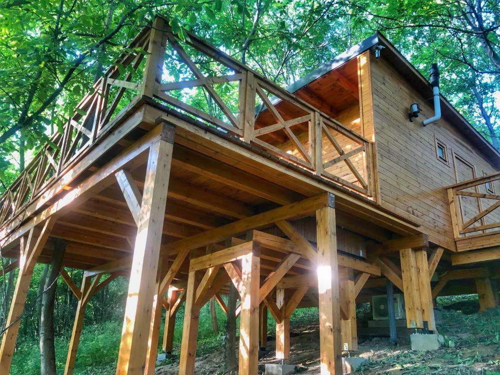 ZalaújlakŐzlak Lombház的树林里的大型木屋