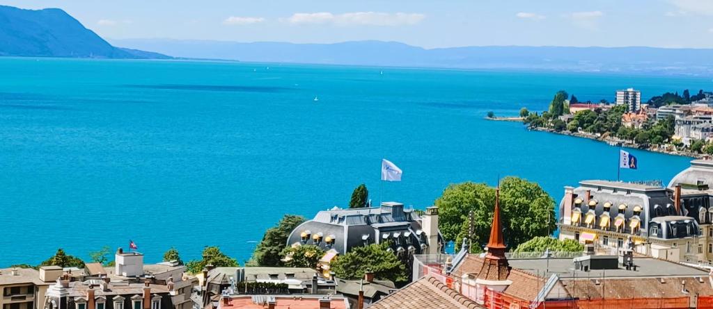 蒙特勒La plus belle vue du lac Léman的城市和水体的景色