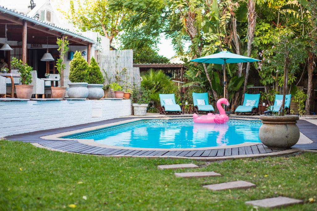西萨默塞特Khashamongo B & B的游泳池配有粉红色的火烈鸟、椅子和遮阳伞