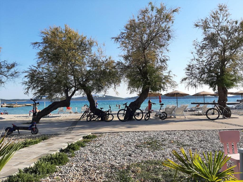 沃迪切Gästehaus Mimesis的一群自行车停在海滩附近的人行道上