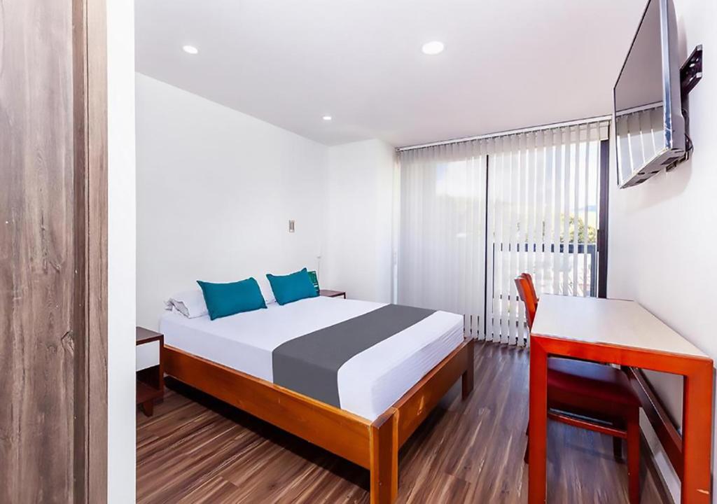 帕斯托Hotel Basan Plaza的一间卧室配有一张床、一张书桌和一个窗户。