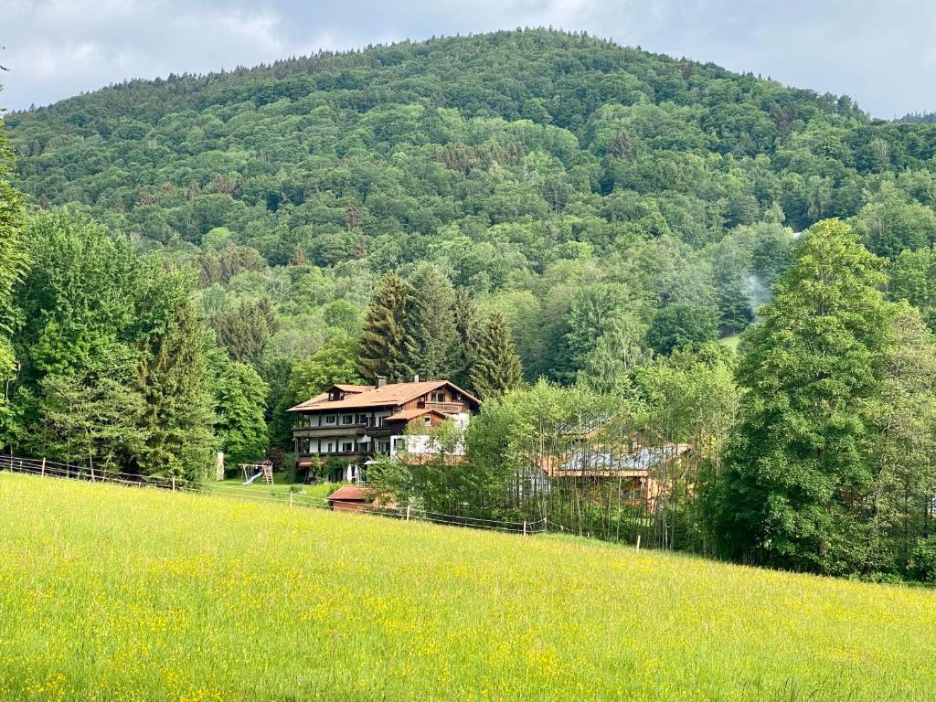 SchöllnachGartenwohnung im Gut Sonnenwald的山前山丘上的房屋