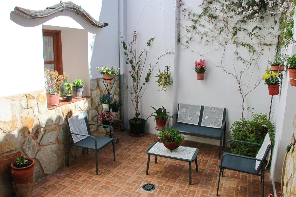MogónCasa Rural Aguascebas的庭院设有椅子和盆栽植物