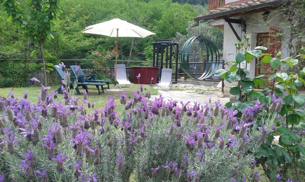 布蒂Casale Le Poiane的一座种有紫色花卉和遮阳伞的花园