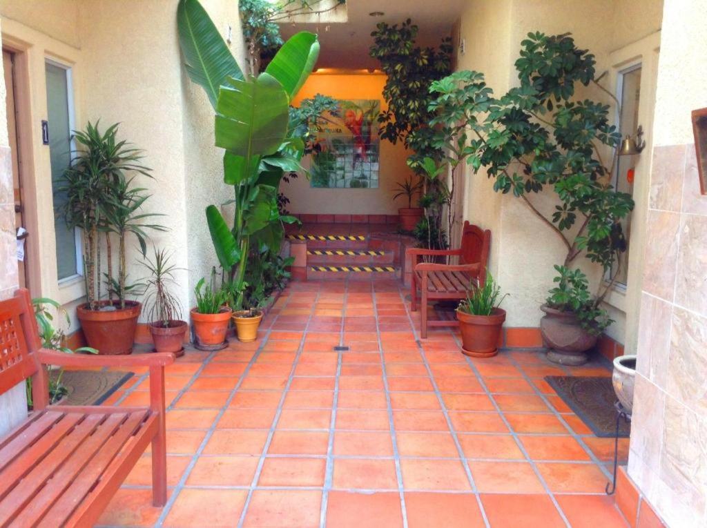 阿瓦隆Casa Mariquita Hotel by Omeo的一座庭院,里面种有长椅和植物