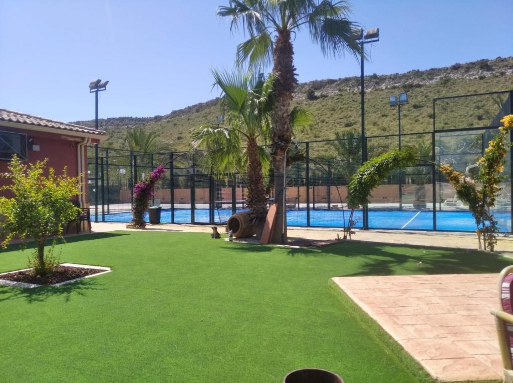 阿利坎特Villa MS的一个带游泳池和棕榈树的庭院
