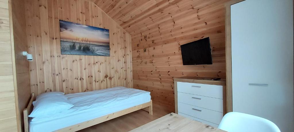 乌斯特卡Gemini MiniDomki的一间带床和电视的小卧室