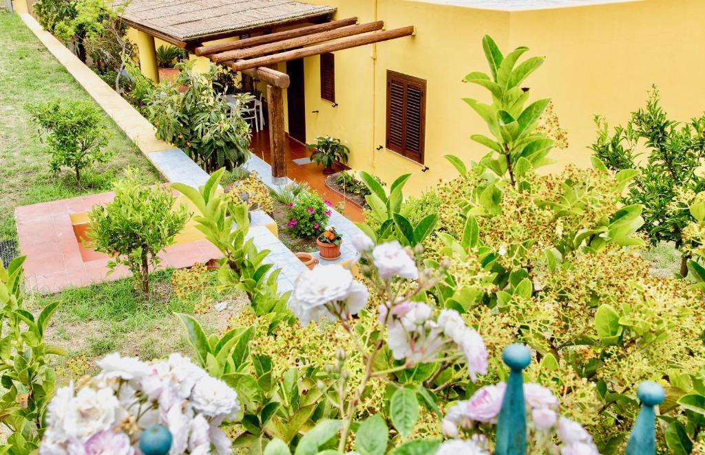 利帕里利帕里伊尔维里诺蓝光城市公寓的一座花园,在房子前种有鲜花